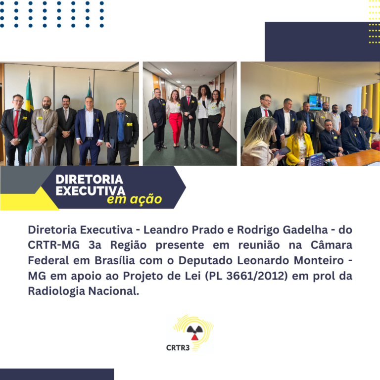 Diretoria Executiva em ação